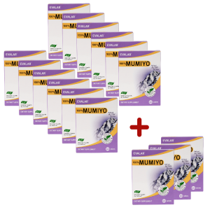 12 Alana 3 Hediye Mumiyo Paketi (Toplam 15 Kutu – 900 Tablet)